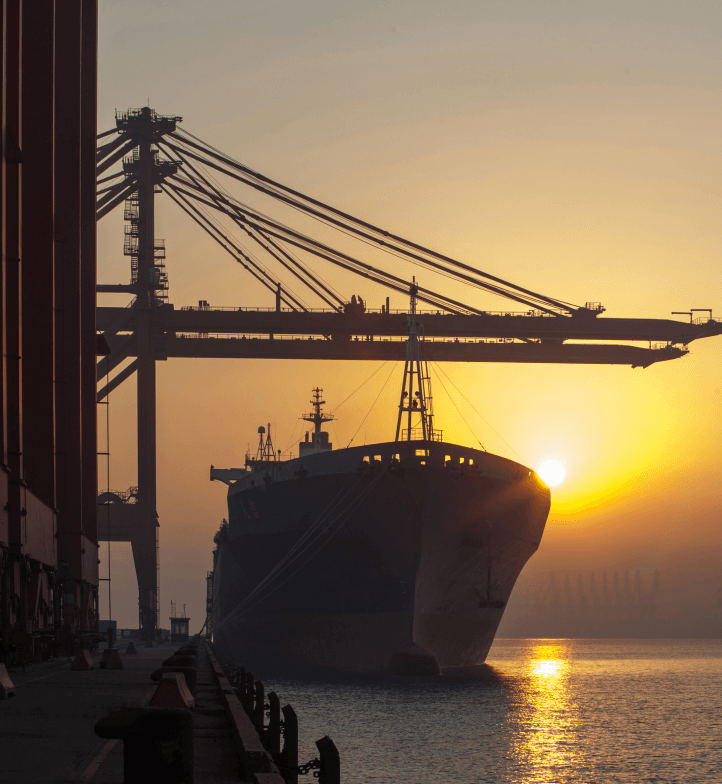 container-ship-and-cranes-at-port-2023-11-27-05-08-17-utc-1